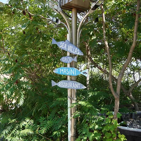 Sea&sky 3* 코스티네스티